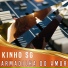 Kinho SG