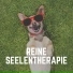 Hundemusik