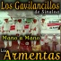 Los gavilancillos y los armenta
