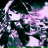 XP.UFX.