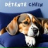 Détente Chein