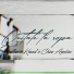 D.allan, KENNEL, Chino Agostini