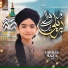 Nibras Raza Qadri