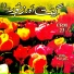 A. Nayyar