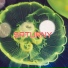 Saturny