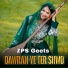 Zps Geets