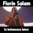 Florin Salam