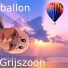 Grijszoon
