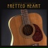 Acoustic Guitar Guy