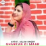 Aslam Singer Zamidar