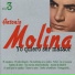 Antonio Molina