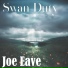 Joe Eave