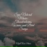 Study Power, Ambient Arena, Natural Samples