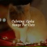 Music for Pets Library, RelaxMyCat, Music For Cats