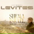 Scott Brenner, Levites