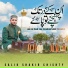Salik Shakir Chishty