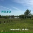 Pelto