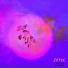 Setec