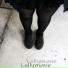 lollymane