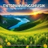 Lernmusik, Entspannungsmusik, Schlafmusik