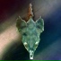 A Lizard In A Woman's Skin