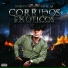 Chicho Castro y Sus Alia2