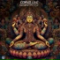 Corvo Live