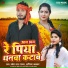 Pravesh Lal Yadav, Karishma Kakkar
