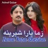 Asharf Gulzar