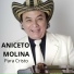Aniceto Molina