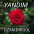 Ozan Birgül