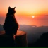 saturn cat