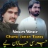 Nasim Wazir