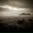 nearlyfog