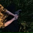 PHXXSPHOR