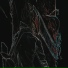 XVXID