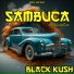 Black Kush, Rodney king