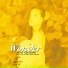 中森明菜 (Akina Nakamori)