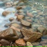 Life Samples