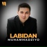 Muhammadziyo