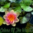 Yakuro - Colors Of The Worlds(2013)