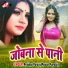 Aashish Pandey Ayush