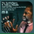 The SyntheTigers feat.Tobirus Mozelle