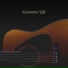 Akustisk Gitarr