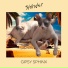 Shinder
