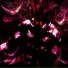 KenKoruto