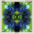 Friedlander