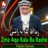 Haidar Zaman