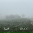 1ton