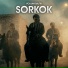 Volkan Baltik